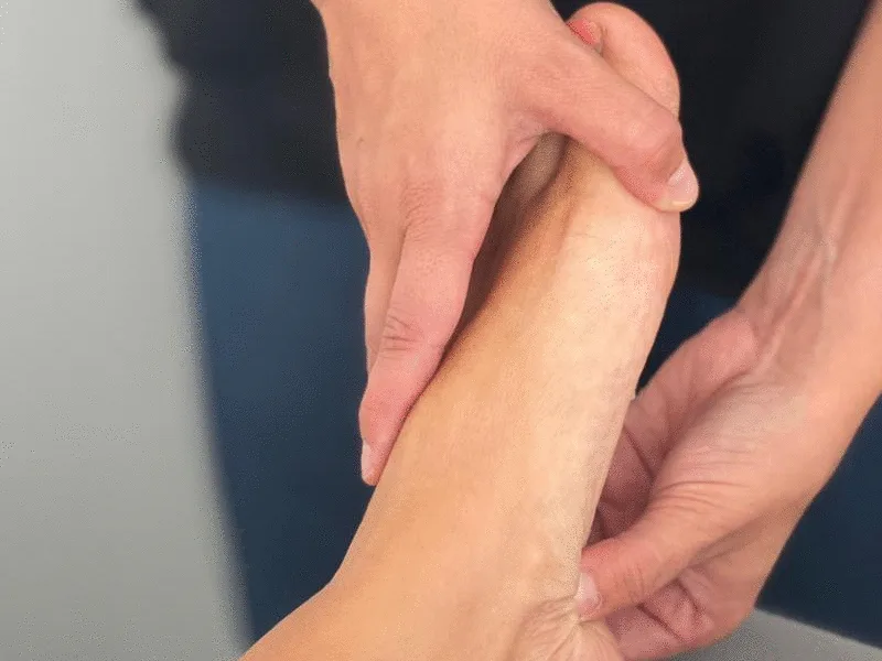 Vyöhyketerapia aikuiset